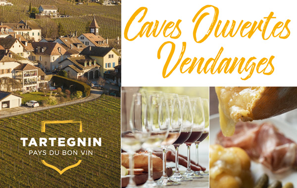 Cave ouverte au Domaine - 12 et 13 septembre 2026